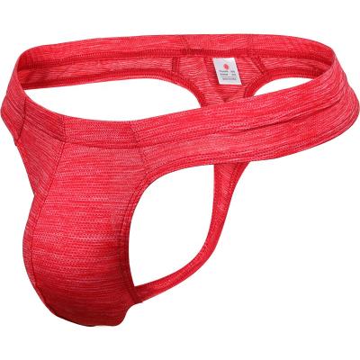 China Antibacterial Style Mens Fashion Polyamide Popular Thong Underwear With Pouch for sale