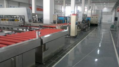 Cina Alta precisione automatica di vetro verticale della perforatrice per gli elettrodomestici di vetro in vendita