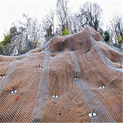 China High Quality Corrsion Resistance Slope Protection Netting Rockfall Barrier Mesh Wire Rope Netting For Construction for sale