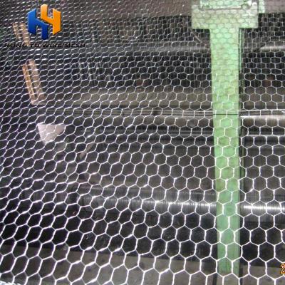 China Easily Assembled Poultry Manufacturing Chicken Netting Philippines Lowest Price For Sale for sale