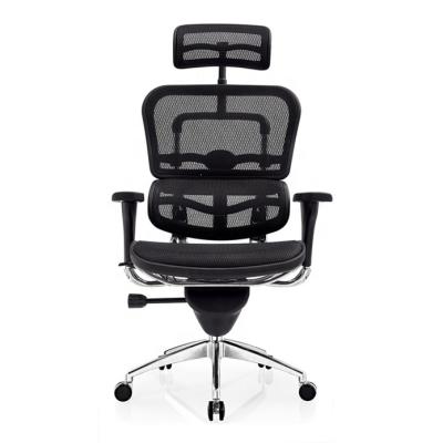 China Environment Friendly High Quality Ergonomic Mesh Swivel High Back Office Chair With Adjustable Lumbar Support for sale