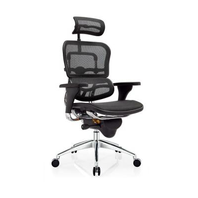 China Modern Mesh Office Chair With Adjustable High Back Ergonomic Armrest for sale