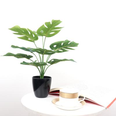 China Eclectic Garden Landscaping Artificial Potted Evergreen Bonsai Plant Monstera Tree For Decoration for sale