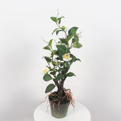 China minimalist artificial plastic rose flower tree bonsai for home decoration for sale