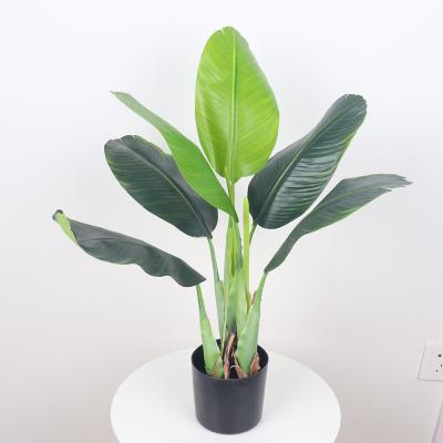 China Eclectic Elegant Potted Faux Plant House Decor Sets All Season Green Garden Indoor Decorative Artificial Banana Trees for sale