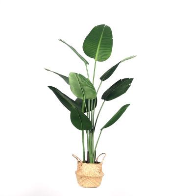 China Plant Traditional Indoor Plastic Traveler Decoration Artificial Banana Tree for sale