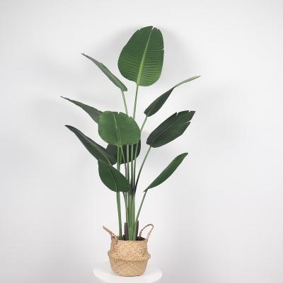 China Plastic Green Artificial Canna Tree Banana Trees Large Leaves Art Decor Home Decoration Potted for sale