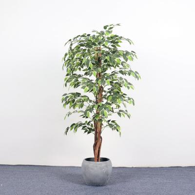 China Art Decor Wholesale Special Indoor Artificial Ficus Plant Small Decoration Plants For Event Decor for sale