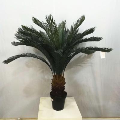 China Ready to ship stock wholesale palm yucca plant artificial tree rostrata for sale