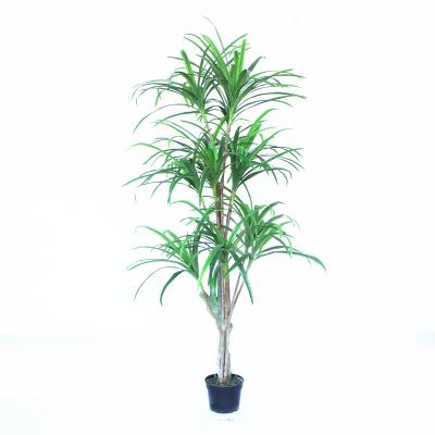 China Plastic+wire+PE 185CM Artificial Yucca Plant 0289 for sale