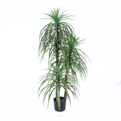 China Plastic+wire+PE 5135 Item High Quality 185CM Artificial Yucca Plant for sale