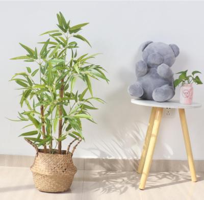 China Art Decor High Quality Outdoor Bamboos Leaves Plant Bamboo Tree for sale