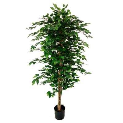 China Decoration 183cm Plant Artificial Banyan Tree for sale