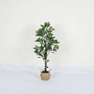 China Coastal Wholesale 1.8m Home Decor Plastic Lemon Branch Leaves Plants For Indoor Ornament Large Date Size Lemon Tree 5881 for sale