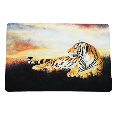 Chine Tapis de porte antidérapant de cuisine en caoutchouc absorbant tapis de porte de salle de bain intérieur tapis de sol à vendre