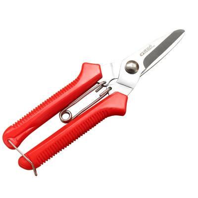 China Ju zheng grape garden technology scissors fruit branch shear scissors large for sale