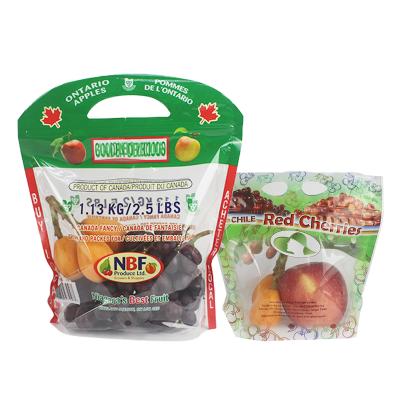 China Resealable Food Bags Zip Lock Fruit Packaging Bags For Grape Cherry With Handles for sale