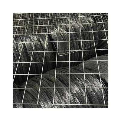 China Hot Sale Dipped Galvanized Wire Mesh Belt Wire Mesh Price Sturdy And Durable Low Exporters Best Price for sale