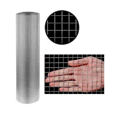 China Sturdy And Durable Design Mild Steel Wire Mesh Roll Galvanized Welded Wire Mesh Roll /Gi Skillful Welded Wire Mesh for sale