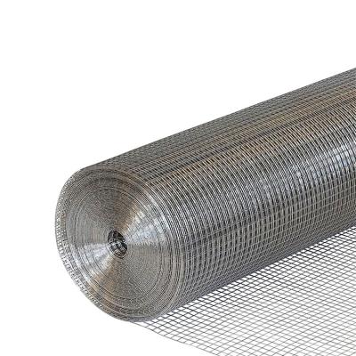 China Sturdy And Durable Hot Dip Galvanized Welded Wire Mesh Roll Welded Wire Mesh Rolls Bird 1/2 Inch By 3 Inch for sale