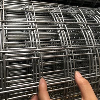 China Sturdy And Durable Lowest Price Brc Wire Mesh Roll Bird Cage Welded Wire Mesh Roll for sale