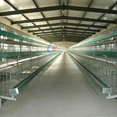 China Galvanised Steel Structure Poultry House Customized With Insulated Panels for sale