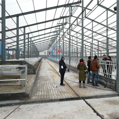 China Light Steel Structure Cow Shed Prefabricated Steel Frame Farm Buildings for sale