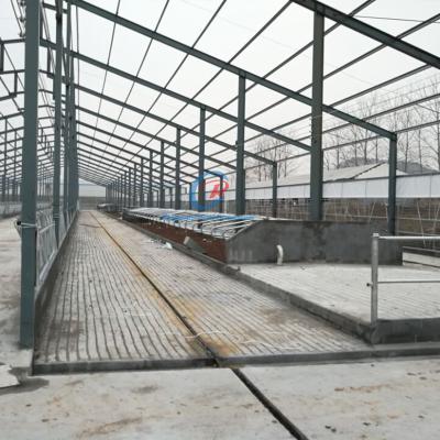 China Durable Erecting Steel Frame Building Customized Steel Frame Farm Buildings for sale