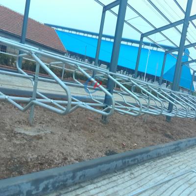 China Modern Steel Structure Cow Shed Sustainable Steel Frame Farm Buildings for sale