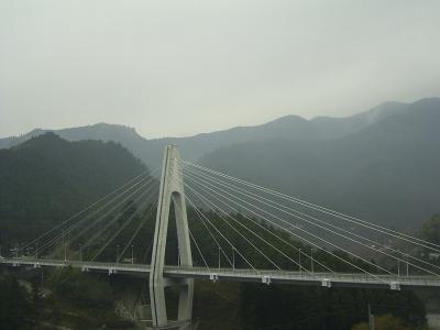 China La estancia de acero del cable de la suspensión del cable tiende un puente sobre de alta resistencia para el palmo grande en venta