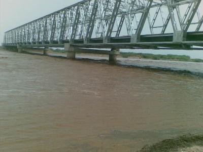 China Puente de braguero de acero prefabricado de la cubierta de puente peatonal del braguero del metal en venta