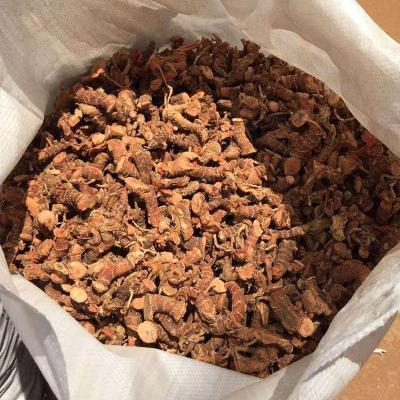 China Moisture 14% High Quality 99.90% Purity Dried Galangal For Spices for sale