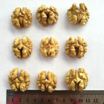 China High Grade Dry Hot Selling Agricultural Product 34-36 Mm Supplier Walnuts for sale