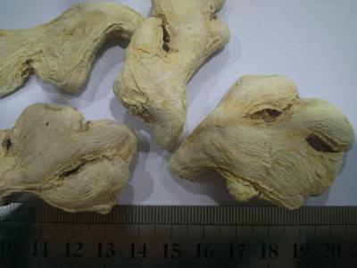 China Fresh Cheap Price Purity Natural Dried Ginger Export Prices With High Quality for sale