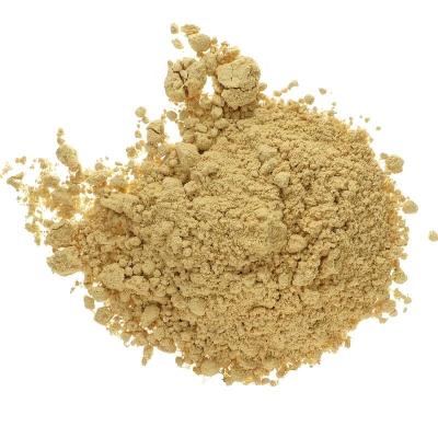 China Fresh Manufacturer Directly Supply Purity New Natural Bulk Ginger Powder for sale