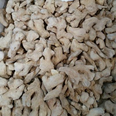 China China Supply Fresh New Culture White And Light Yellow Dehydrated Dry Ginger for sale