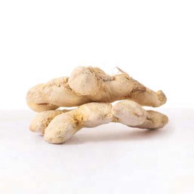 China White And Light Yellow Factory Direct Sale Dehydrated Dried Whole Ginger New Culture Fresh for sale