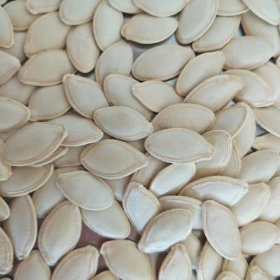 China Chinese Factory Supply Organic Dry Shine Skin Pumpkin Seeds for sale