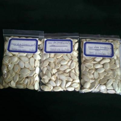 China Wholesale Good Quality Low Price Dry Bulk Turkish Pumpkin Seeds for sale