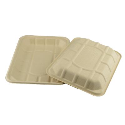 China Biodegradable Disposable Eco-Friendly Pulp Custom Disposable Biodegradable Sugarcane Sugarcane Rectangle Meat Fruit Sushi Food Paper Serving Tray for sale