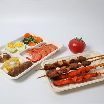 China Biodegradable Disposable Eco-friendly Compostable Bagasse Paper Pulp Fiber Meat Sushi Fruit Food Tray Sugar Cane for sale