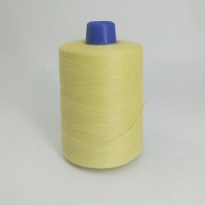 China 200g/pcs 20s/3 Aramid Sewing Thread Flame Retardant Sewing Thread Kevlar High Temperature Resistant Thread Whole Sale for sale