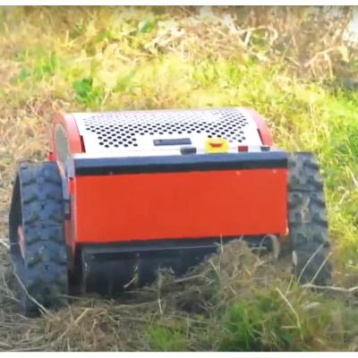 China Mini Rc Lawn Mower Easy Operation Agriculture Wheel Cordless Lawn Mowers for sale