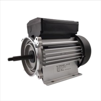 Κίνα 300-700W ηλεκτρική ενιαία φάση 3000rpm μηχανών υδραντλιών για τις αντλίες SPA και μπανιέρων προς πώληση