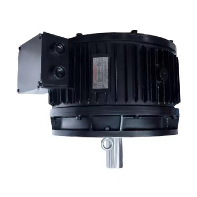 China High Torque Low Speed Direct Drive AC BLDC Motor für Schwerlastanwendungen zu verkaufen