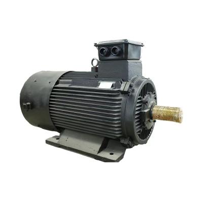 China Maximaal 50 kg meelcapaciteit Permanente magneet synchrone motor IEC/DIN standaard lucht/water koeling Te koop