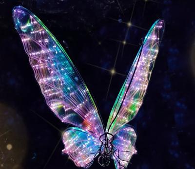 China Colorful 3D Butterfly in Sculpture Colorful Dream Film with LED Light for Wedding Decoration for sale