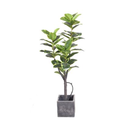 China Contemporary Wholesale Fake Rubber Tree Artificial Plant With Cement Square Pot for sale