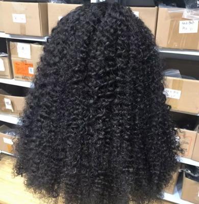 China Other Wholesale Virgin W-HD44 HD Raw Indian Hair Lace Front Closure Curly Curly Wigs Women Human Hair Swiss Lace Frontal Full Wig for sale