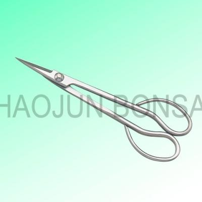 China Bonsai Tool - Trimming Scissors 180mm (High Quality with Competitive Factory Price) 210mm for sale